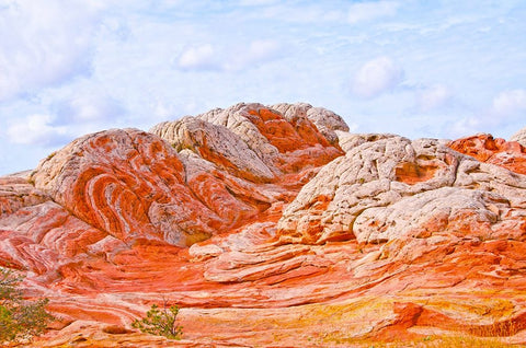 USA-Arizona-Vermilion Cliffs National Monument White Pocket Black Ornate Wood Framed Art Print with Double Matting by Friel, Bernard