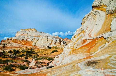 USA-Arizona-Vermilion Cliffs National Monument White Pocket Black Ornate Wood Framed Art Print with Double Matting by Friel, Bernard