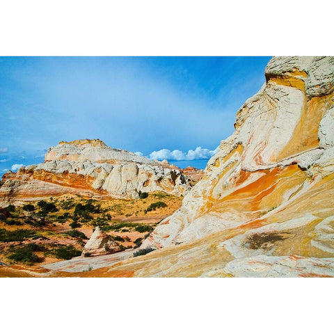 USA-Arizona-Vermilion Cliffs National Monument White Pocket Black Modern Wood Framed Art Print by Friel, Bernard