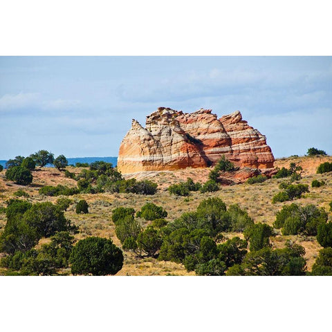 USA-Arizona-Vermilion Cliffs National Monument White Pocket Black Modern Wood Framed Art Print by Friel, Bernard