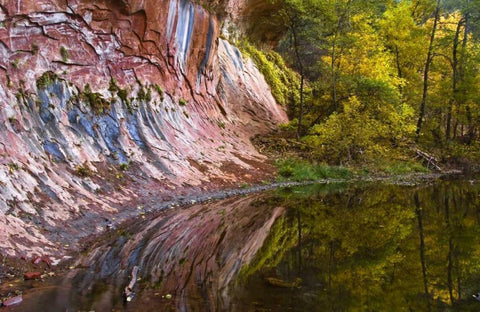 AZ, Sedona Cliff recflection along a creek Black Ornate Wood Framed Art Print with Double Matting by OBrien, Jay