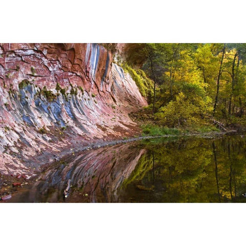 AZ, Sedona Cliff recflection along a creek White Modern Wood Framed Art Print by OBrien, Jay