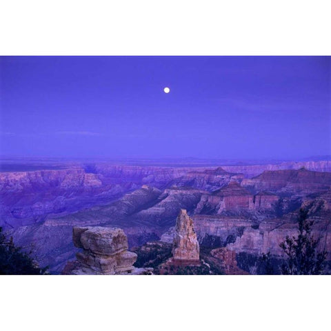 AZ, Grand Canyon, Moonrise over Point Imperial Black Modern Wood Framed Art Print with Double Matting by Welling, Dave