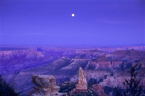 AZ, Grand Canyon, Moonrise over Point Imperial Black Ornate Wood Framed Art Print with Double Matting by Welling, Dave