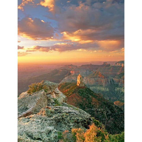 AZ, Grand Canyon, Point Imperial at sunrise White Modern Wood Framed Art Print by Welling, Dave
