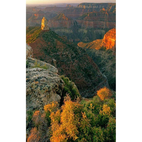 AZ, Grand Canyon, Sunrise at Point Imperial Gold Ornate Wood Framed Art Print with Double Matting by Welling, Dave