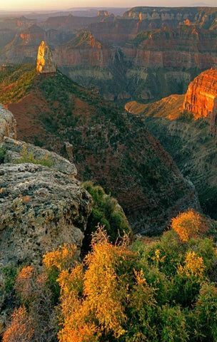 AZ, Grand Canyon, Sunrise at Point Imperial White Modern Wood Framed Art Print with Double Matting by Welling, Dave