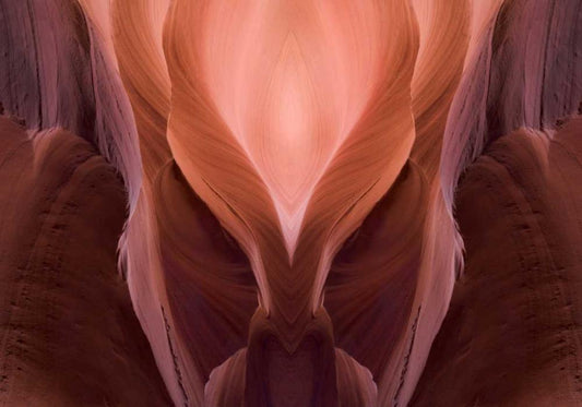 Image Only