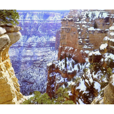 AZ, Grand Canyon, Winter snow on rock formations Black Modern Wood Framed Art Print by Talbot Frank, Christopher