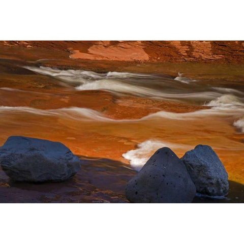 Arizona, Sedona Oak Creek in Slide Rock SP Black Modern Wood Framed Art Print by Paulson, Don