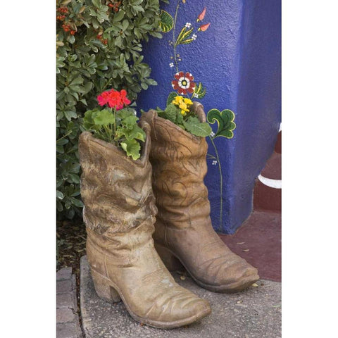 AZ, Tucson Cowboy boots used as planters Black Modern Wood Framed Art Print by Paulson, Don