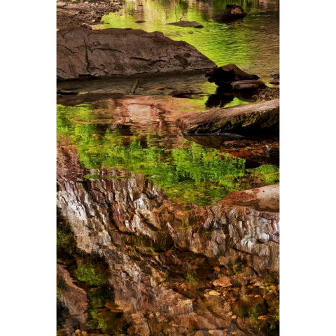AZ, Sedona, Verdee Valley Spring reflections Black Modern Wood Framed Art Print by OBrien, Jay