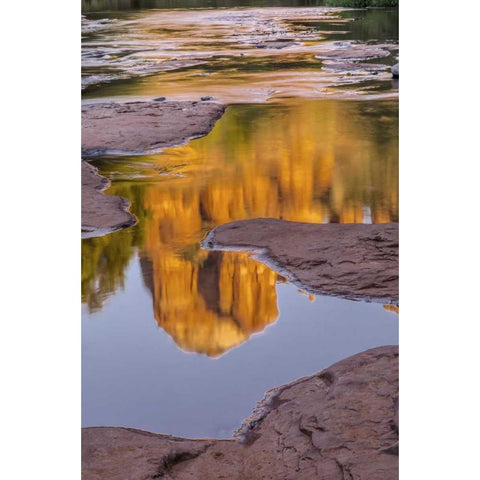 Arizona, Sedona Cathedral Rock reflects in creek Black Modern Wood Framed Art Print by OBrien, Jay