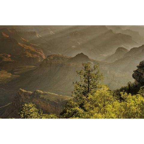 AZ, Grand Canyon, God rays over rock formations Black Modern Wood Framed Art Print by OBrien, Jay