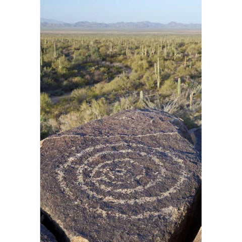 Arizona, Saguaro NP Hohokam Indian petroglyph Black Modern Wood Framed Art Print with Double Matting by Paulson, Don