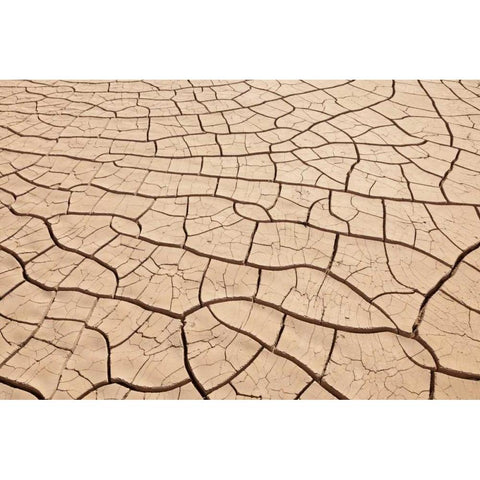 Arizona, Gila Bend Dried river- bottom mud Black Modern Wood Framed Art Print by Paulson, Don