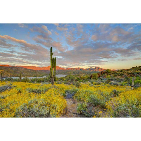 AZ, Lake Bartlett Sunset on desert landscape Black Modern Wood Framed Art Print by Lord, Fred