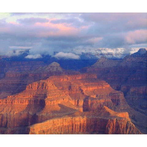 USA, Arizona, Grand Canyon NP in winter Black Modern Wood Framed Art Print by Talbot Frank, Christopher