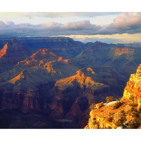 USA, Arizona, Grand Canyon NP in winter Black Modern Wood Framed Art Print by Talbot Frank, Christopher