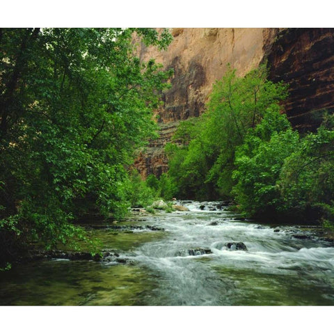 AZ, Havasupai Havasu Creek in the Grand Canyon Black Modern Wood Framed Art Print by Talbot Frank, Christopher