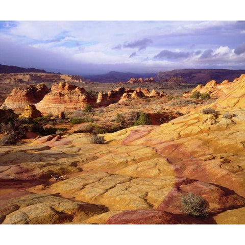 Arizona, Paria Canyon White Modern Wood Framed Art Print by Talbot Frank, Christopher