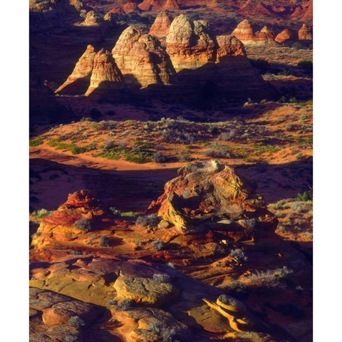 Arizona, Sandstone formations in the Paria Canyon Gold Ornate Wood Framed Art Print with Double Matting by Talbot Frank, Christopher