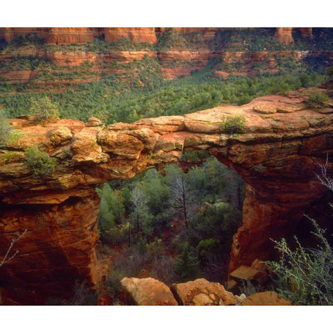 USA, Arizona, Sedona Natural sandstone bridge Black Modern Wood Framed Art Print by Talbot Frank, Christopher