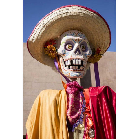 Arizona, Phoenix Skeleton wearing a hat Black Modern Wood Framed Art Print with Double Matting by Kaveney, Wendy