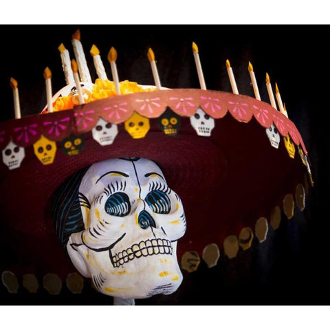 Arizona, Phoenix Art of skeleton wearing a hat White Modern Wood Framed Art Print by Kaveney, Wendy