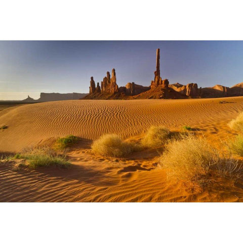 AZ, Monument Valley, Totem Pole and Ye Bi Chei Gold Ornate Wood Framed Art Print with Double Matting by Illg, Cathy and Gordon