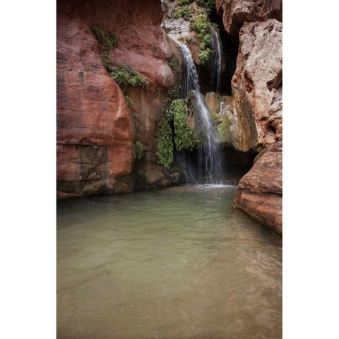 Arizona, Grand Canyon NP View of Elves Chasm Black Modern Wood Framed Art Print by Grall, Don