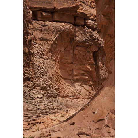 AZ, Grand Canyon, Pattern in sandstone formations Gold Ornate Wood Framed Art Print with Double Matting by Grall, Don