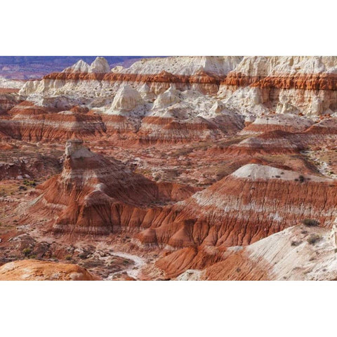 USA, Arizona A desert area called Toad Stools Black Modern Wood Framed Art Print by Paulson, Don