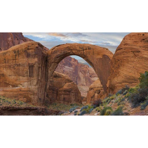 Arizona Rainbow Bridge arch in Glen Canyon NRA Black Modern Wood Framed Art Print by Paulson, Don