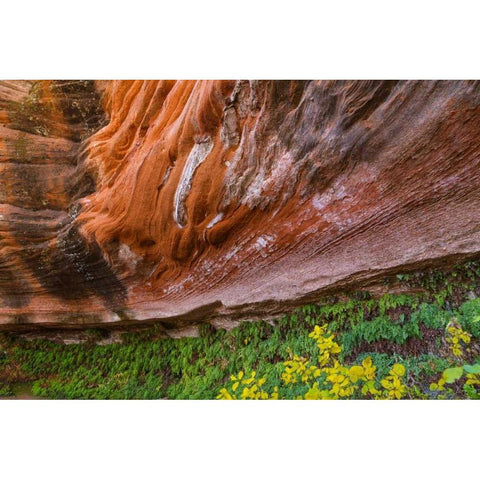 Arizona Hanging Garden in Canyon X Gold Ornate Wood Framed Art Print with Double Matting by Paulson, Don