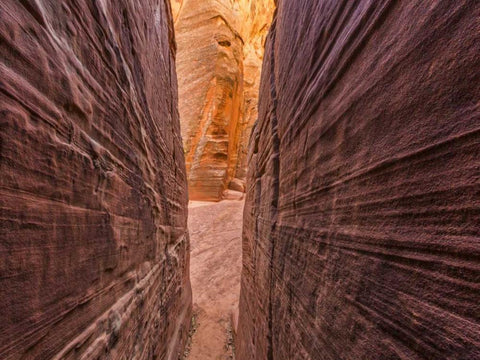 AZ, Canyon X Formations in eroded sandstone rock Black Ornate Wood Framed Art Print with Double Matting by Paulson, Don