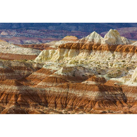Arizona A desert area called Toad Stools Black Modern Wood Framed Art Print with Double Matting by Paulson, Don