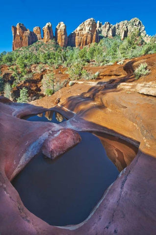 USA, Arizona, Sedona Water pools in rock Black Ornate Wood Framed Art Print with Double Matting by Rotenberg, Nancy