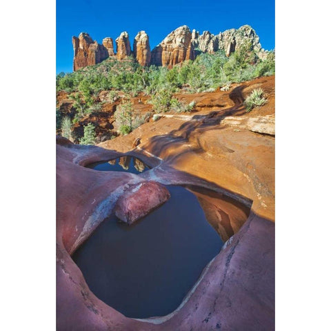USA, Arizona, Sedona Water pools in rock White Modern Wood Framed Art Print by Rotenberg, Nancy