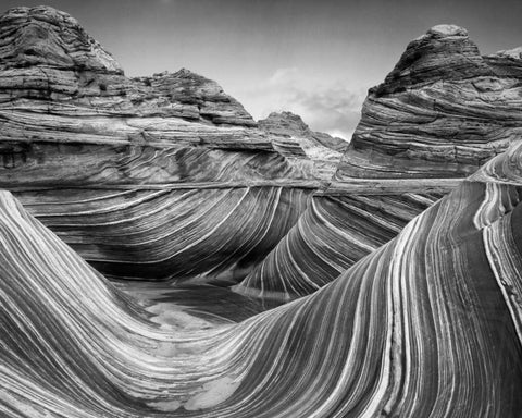 AZ, Vermilion Cliffs, Paria Canyon The Wave Black Ornate Wood Framed Art Print with Double Matting by Flaherty, Dennis