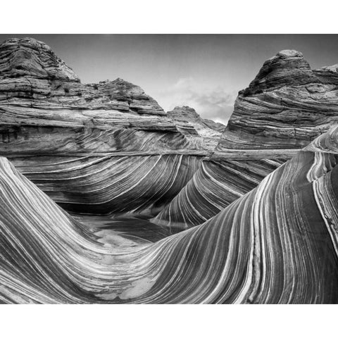 AZ, Vermilion Cliffs, Paria Canyon The Wave Gold Ornate Wood Framed Art Print with Double Matting by Flaherty, Dennis