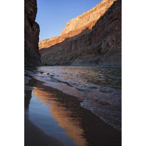 Arizona, Grand Canyon Desert sunrise Black Modern Wood Framed Art Print with Double Matting by Grall, Don