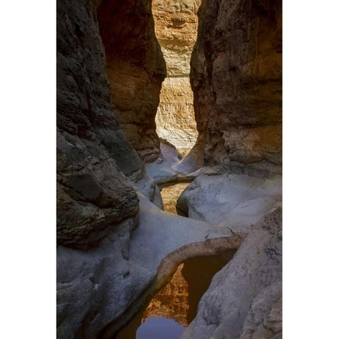 USA, Arizona, Grand Canyon NP Canyon reflections Black Modern Wood Framed Art Print by Grall, Don