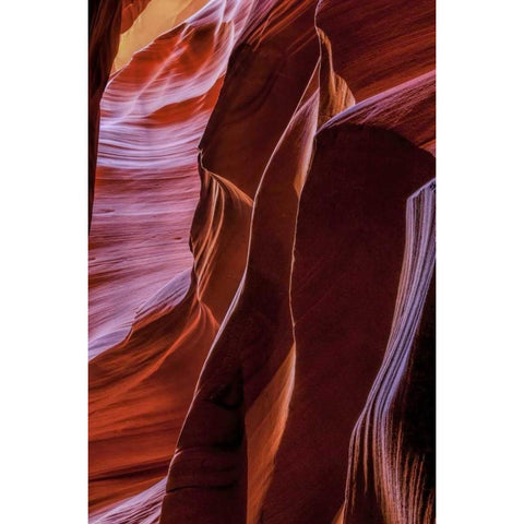 Arizona, Paige Rock patterns in Antelope Canyon Gold Ornate Wood Framed Art Print with Double Matting by OBrien, Jay