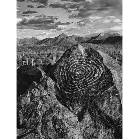 Arizona, Saguaro NP Petroglyphs on Signal Hill White Modern Wood Framed Art Print by Flaherty, Dennis