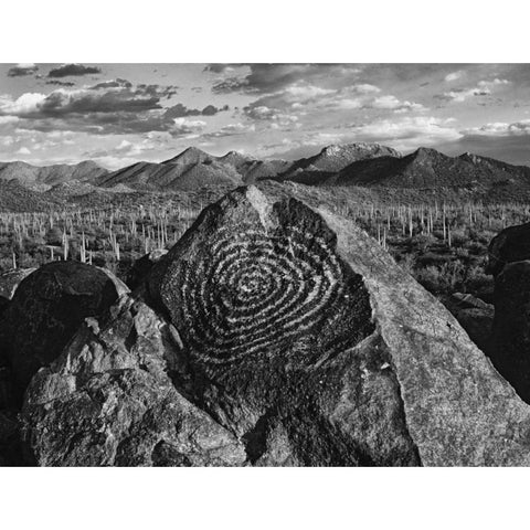 Arizona, Saguaro NP Petroglyphs on Signal Hill White Modern Wood Framed Art Print by Flaherty, Dennis