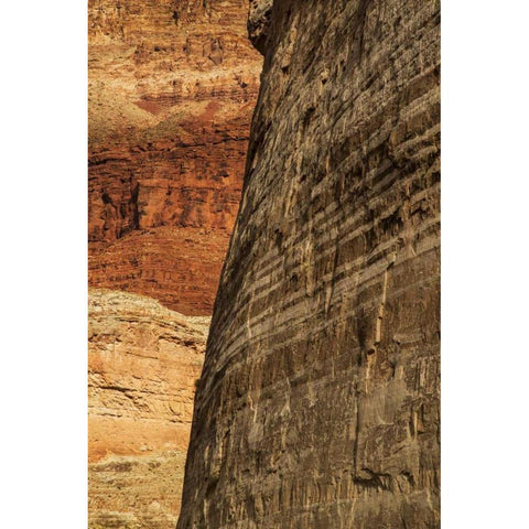 AZ, Grand Canyon, Sandstone wall in Marble Canyon White Modern Wood Framed Art Print by Grall, Don