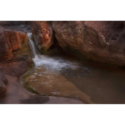 Arizona, Grand Canyon Flowing Royal Arch Creek Black Modern Wood Framed Art Print by Grall, Don