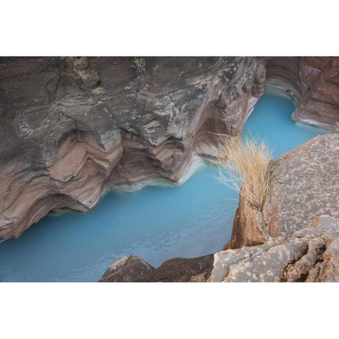 AZ, Grand Canyon, Havasu Creeks through a gorge Black Modern Wood Framed Art Print by Grall, Don