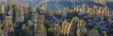 AZ, Chiricahua NM Panoramic of rocky landscape Black Ornate Wood Framed Art Print with Double Matting by Paulson, Don